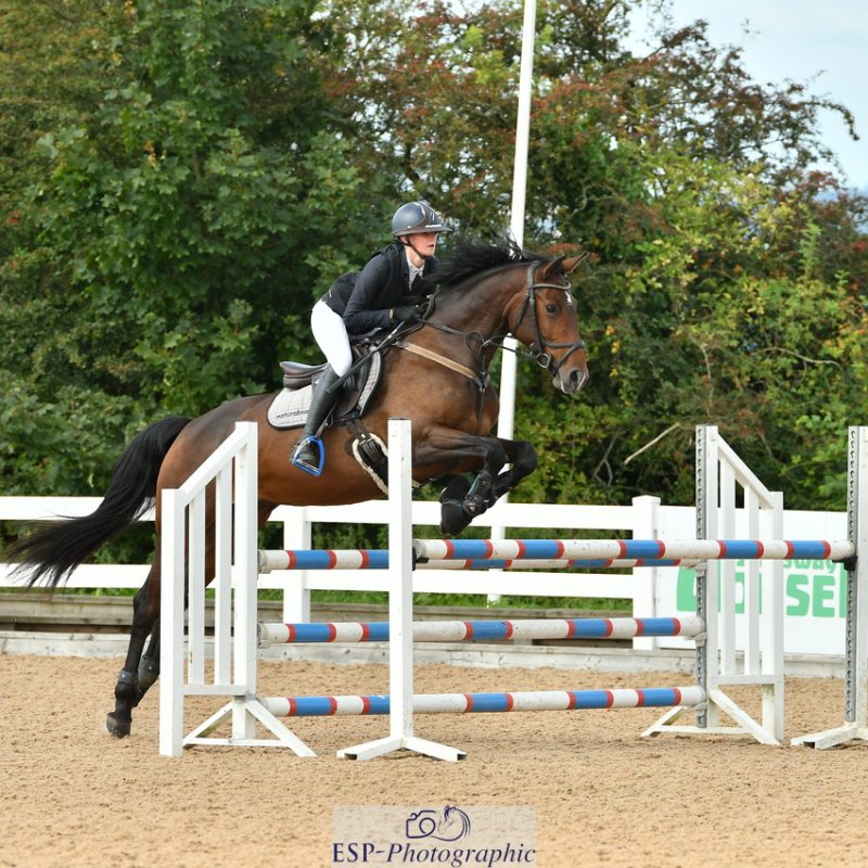 Young girl show jumping a horse